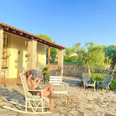 Casa Raiz & Retiro Bed & Breakfast Ferreira do Zêzere