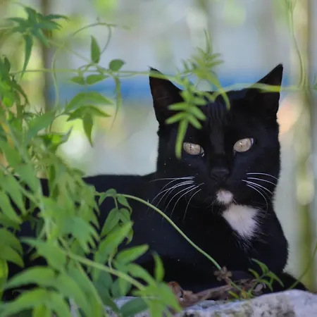Casa Raiz & Retiro *