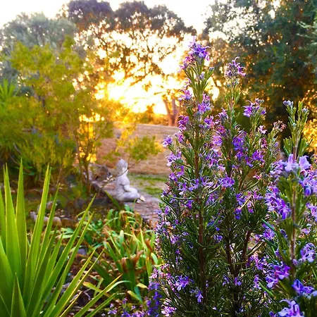 Casa Raiz & Retiro * Ferreira do Zêzere