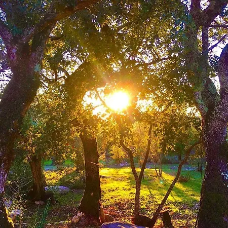 Casa Raiz & Retiro ベッド・アンド・ブレックファスト