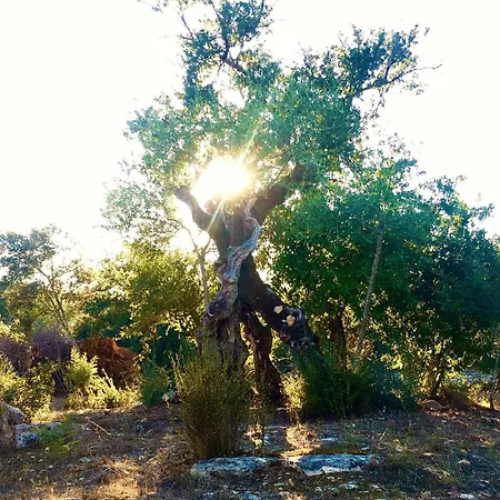 Bed & Breakfast Casa Raiz & Retiro Ferreira do Zezere