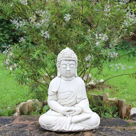 Couette-café Casa Raiz Guest House&retiro *