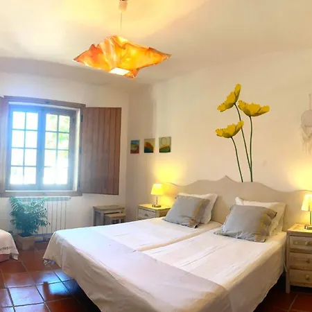 Casa Raiz Guest House&retiro *