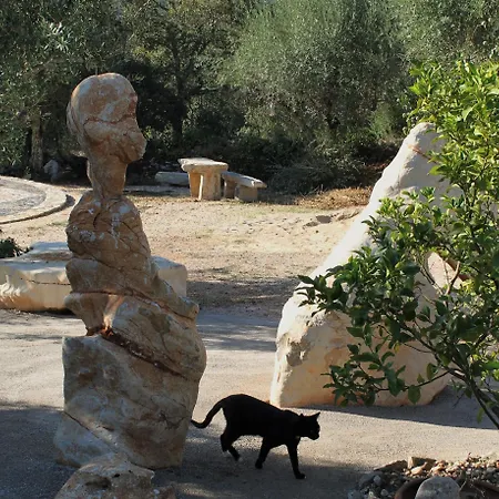 Casa Raiz & Retiro Bed & Breakfast Ferreira do Zezere