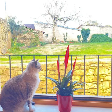 ベッド・アンド・ブレックファスト Casa Raiz & Retiro Ferreira do Zêzere