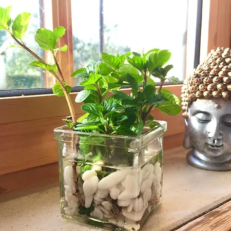 Casa Raiz & Retiro *