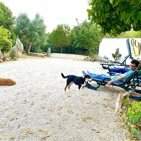 Casa Raiz Guest House&retiro Couette-café *