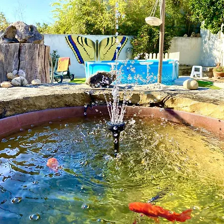 ベッド・アンド・ブレックファスト Casa Raiz & Retiro